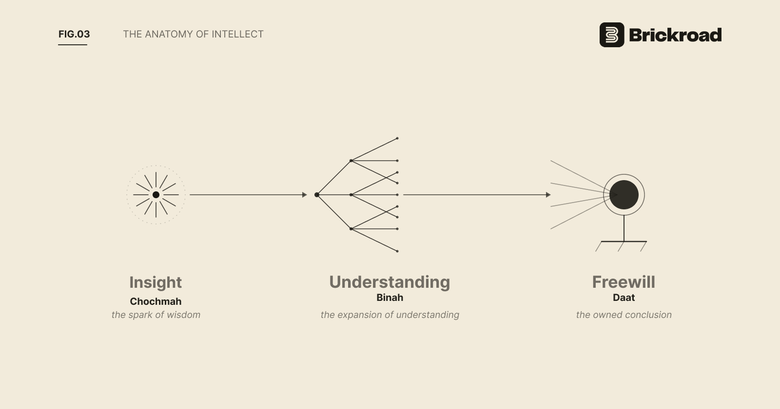 Figure 3: The anatomy of intellect. Chochmah is the flash of insight; Binah is the expansion of understanding; Daat is the freewill that authors the conclusion and stands as its source.